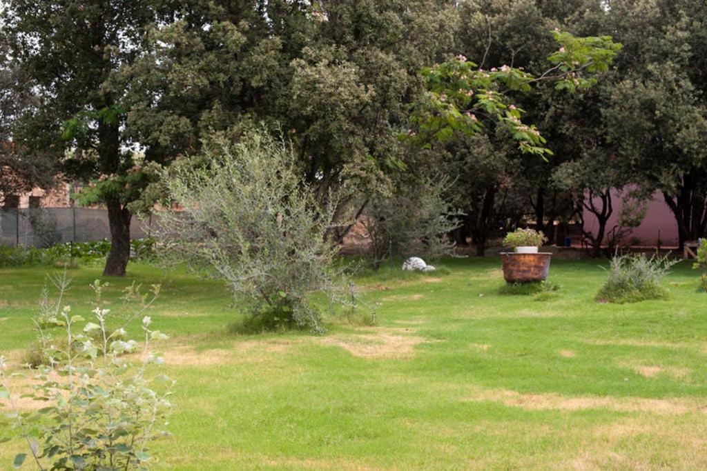 Loft Mansardato Con Giardino E Piscina In Villa Privata Loft With Garden And Swimming Pool In A Private Villa Sestu Dış mekan fotoğraf