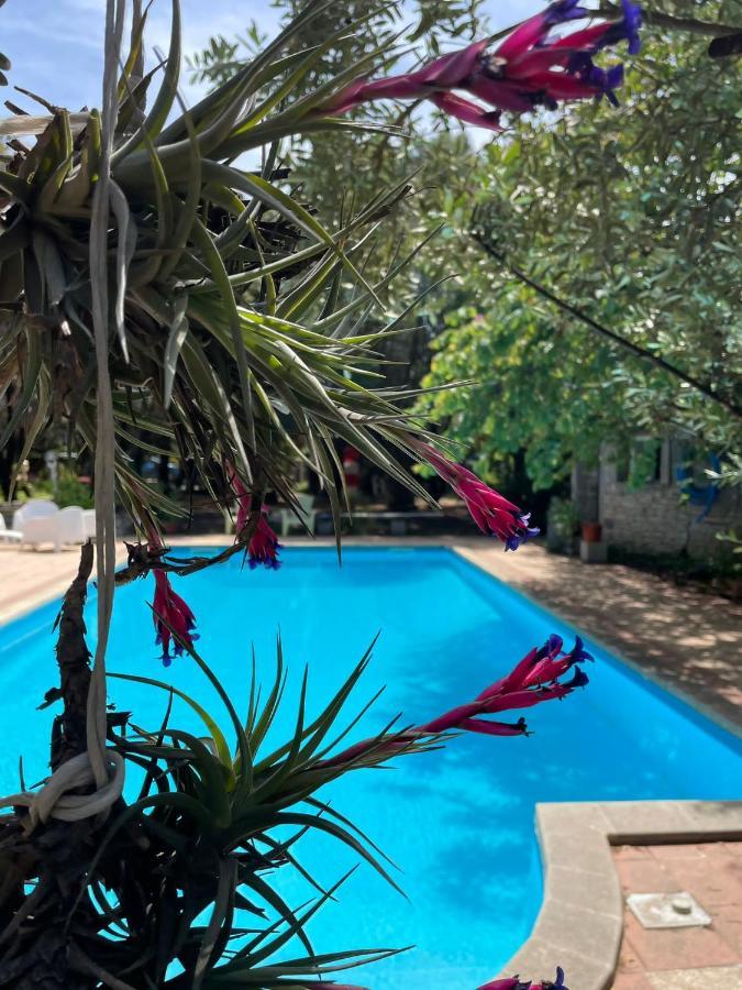 Loft Mansardato Con Giardino E Piscina In Villa Privata Loft With Garden And Swimming Pool In A Private Villa Sestu Dış mekan fotoğraf