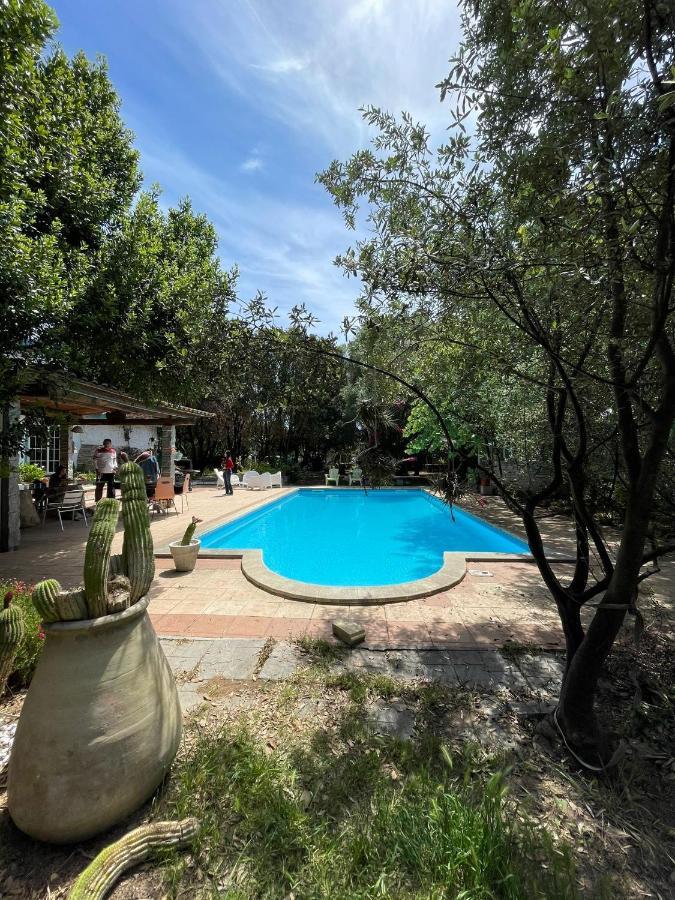 Loft Mansardato Con Giardino E Piscina In Villa Privata Loft With Garden And Swimming Pool In A Private Villa Sestu Dış mekan fotoğraf